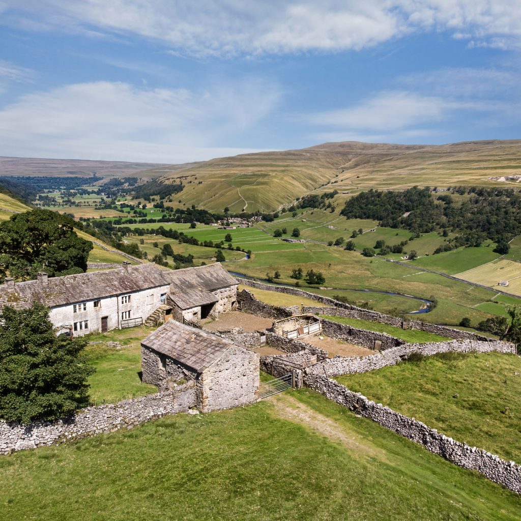 DJI_0973